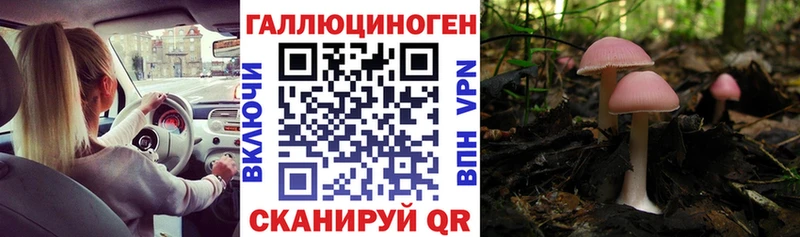 Псилоцибиновые грибы Magic Shrooms  Кадников 