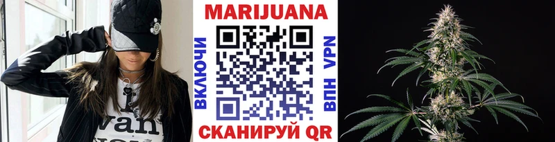 Конопля семена  Кадников 